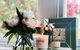 Stay At Meurant - thumb 4