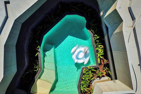 Alkira Award Winning Luxury Holiday Home - Accommodation Batemans Bay 6