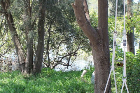 Waters Edge - Accommodation Batemans Bay 5