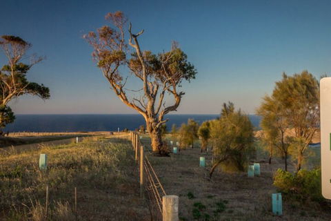 Fleurieu Coastal Retreat Lot 150 Myponga Beach Road - Accommodation Batemans Bay 2