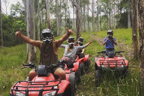 Mount Seaview Resort - Accommodation Batemans Bay 3