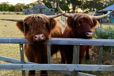 Straw House Farm B & B - Accommodation Batemans Bay 4
