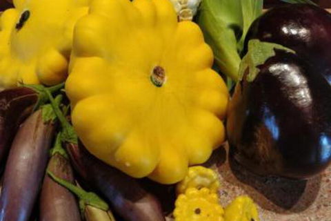 Straw House Farm B & B - Accommodation Batemans Bay 6