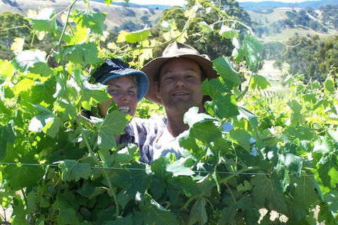 Wimmera Hills Winery - Accommodation Batemans Bay 2