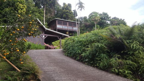 Daintree Holiday Homes La Vista - Accommodation Batemans Bay 4