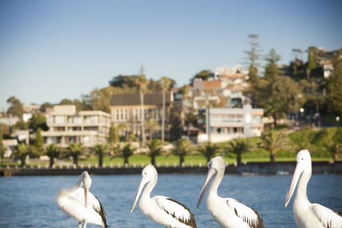 The Sebel Harbourside Kiama - Accommodation Batemans Bay 1