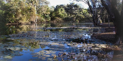 Springvale Homestead - Accommodation Batemans Bay 1