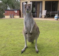 Yelverton Brook Conservation Sanctuary - Accommodation Batemans Bay