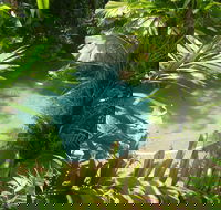 Palm Cove Tropic Apartments