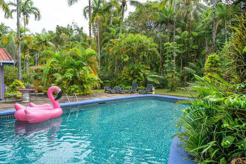 Pink Flamingo Resort - Accommodation Batemans Bay 5