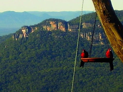 Valley Of The Waters B&B - Accommodation Batemans Bay 3