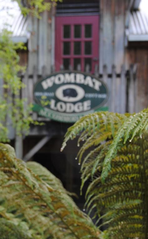 The Wombat Cottage - Accommodation Batemans Bay 1