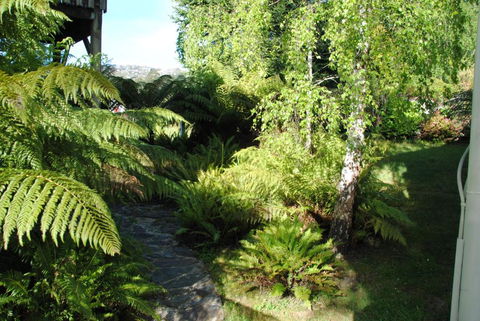 The Wombat Cottage - Accommodation Batemans Bay 4