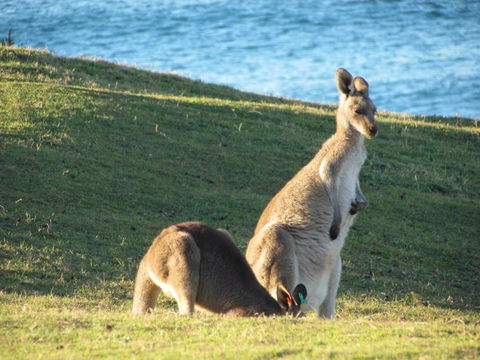 Lake Russell Retreat - Accommodation Batemans Bay 6