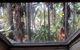Lake Russell Retreat - thumb 4