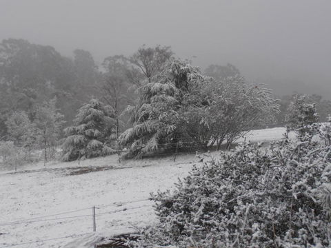 Springmead Rustic Cabin - Accommodation Batemans Bay 6