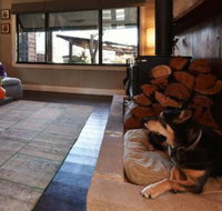 Millfield Eco Lodge with views  inside / outside hangouts - Accommodation Batemans Bay