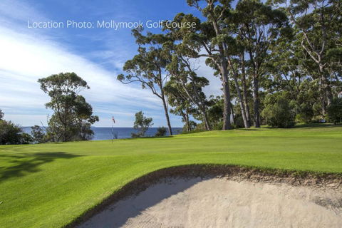 Family Paradise - Accommodation Batemans Bay 6