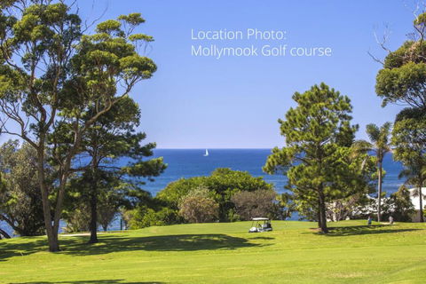 11 Riley St. Stylishly Modern - Accommodation Batemans Bay 4