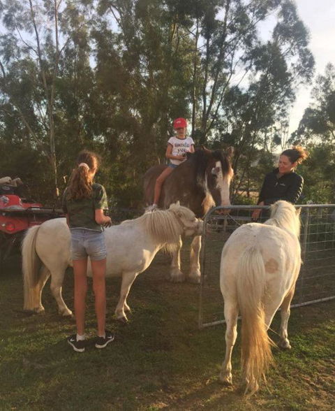 Glamping Gypsy Hobart - Accommodation Batemans Bay 5
