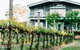 Mortimers Wines The Canopy Loft - thumb 1