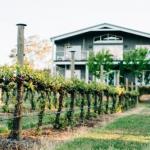 Mortimers Wines The Canopy Loft - Accommodation Batemans Bay 1