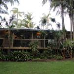Hidden Oasis Pet Friendly In Anna Bay - Accommodation Batemans Bay 1