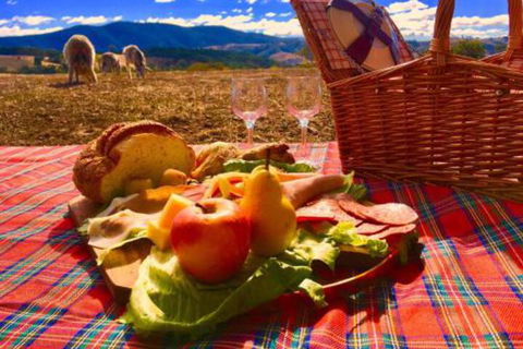 Country Budget - Accommodation Batemans Bay 3