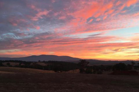 Country Budget - Accommodation Batemans Bay 6