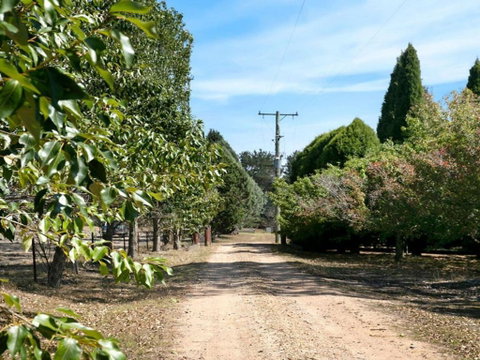 Warrington Park Bendooley Hill - Accommodation Batemans Bay 5