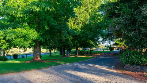 Dorrigo Mountain Holiday Park - Accommodation Batemans Bay 1