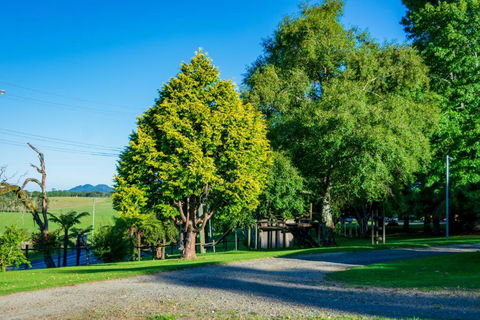 Dorrigo Mountain Holiday Park - Accommodation Batemans Bay 5