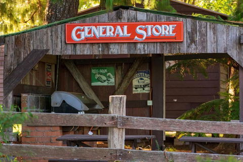 Dorrigo Mountain Holiday Park - Accommodation Batemans Bay 2