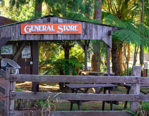 Dorrigo Mountain Holiday Park - Accommodation Batemans Bay 4