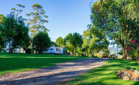 Dorrigo Mountain Holiday Park - Accommodation Batemans Bay 3
