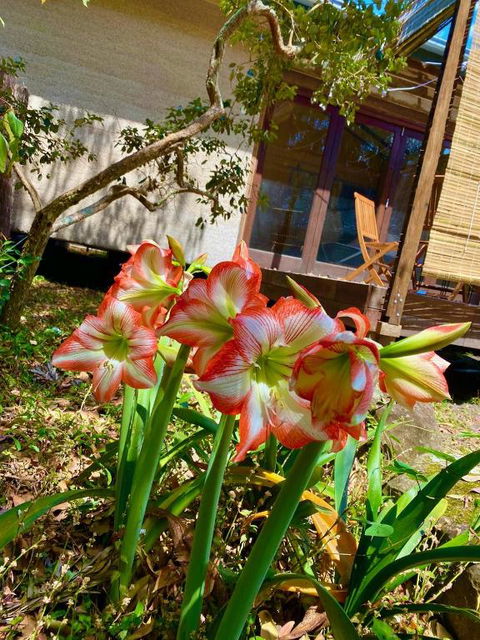 Graces Of Byron - Accommodation Batemans Bay 6