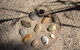 Driftwood Villa - thumb 3