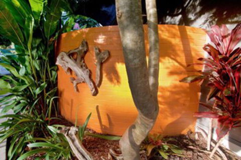 Driftwood Villa - Accommodation Batemans Bay 4