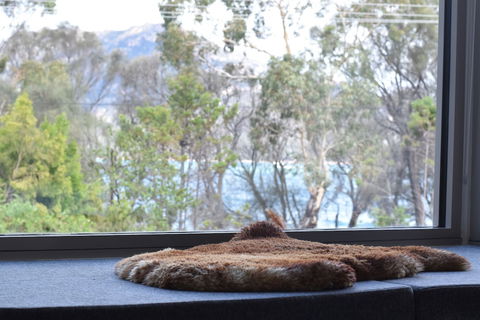 Driftwood - Accommodation Batemans Bay 0