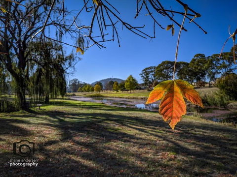 Dillons Cottage - Accommodation Batemans Bay 4