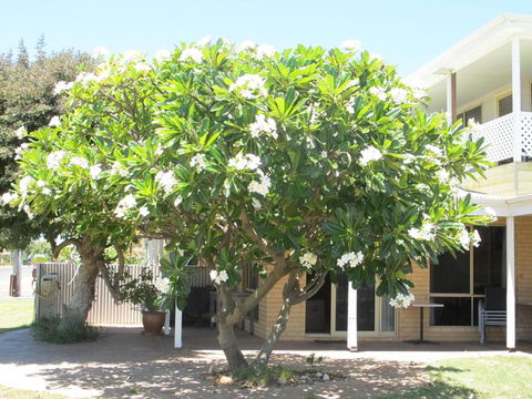 Kalbarri Riverfront Unit - Accommodation Batemans Bay 3
