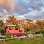 Zuny Yurt - Accommodation Batemans Bay 0