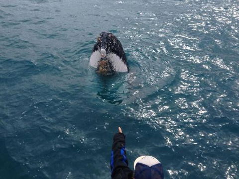 Number 72 Kalbarri Beach Resort - Accommodation Batemans Bay 0