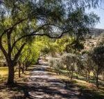 Capers Guesthouse Barn  Cottage - Accommodation Batemans Bay