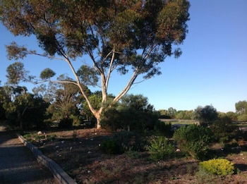 Murray Bridge Motor Inn - Accommodation Batemans Bay 1