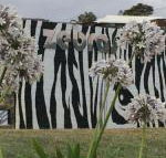 Zebras Guest House - Accommodation Batemans Bay