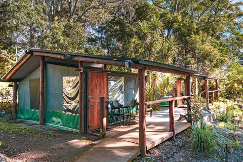 Binna Burra Rainforest Campsite - Accommodation Batemans Bay 3