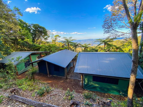 Binna Burra Rainforest Campsite - Accommodation Batemans Bay 4