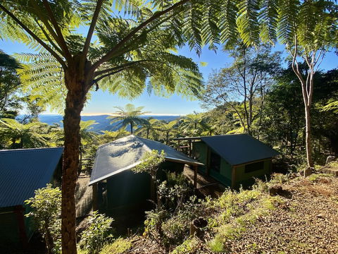 Binna Burra Rainforest Campsite - Accommodation Batemans Bay 0