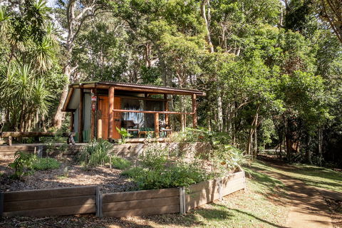 Binna Burra Rainforest Campsite - Accommodation Batemans Bay 1